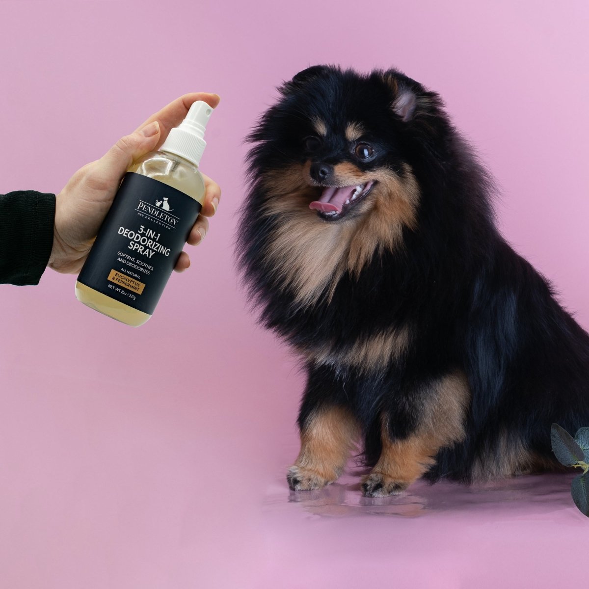 Pendleton All Natural Dog Deodorizing & Conditioning Refresh