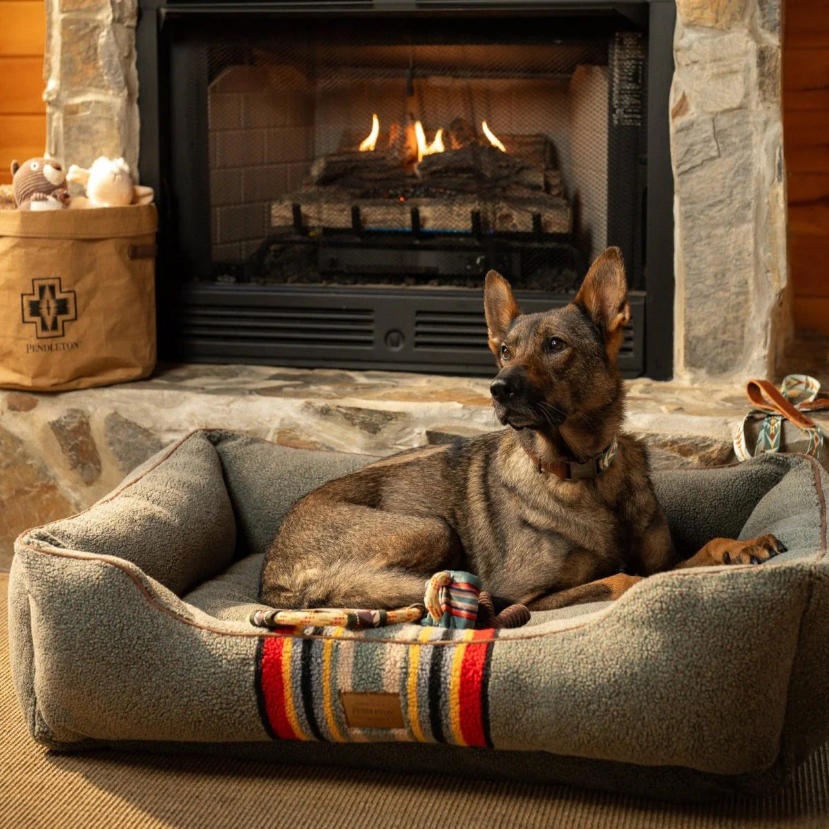 Pendleton extra large size dog bed with german shepherd