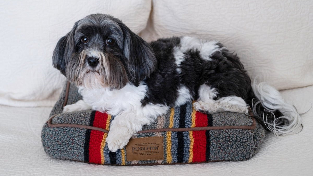 #color_Vintage Camp Heather Green