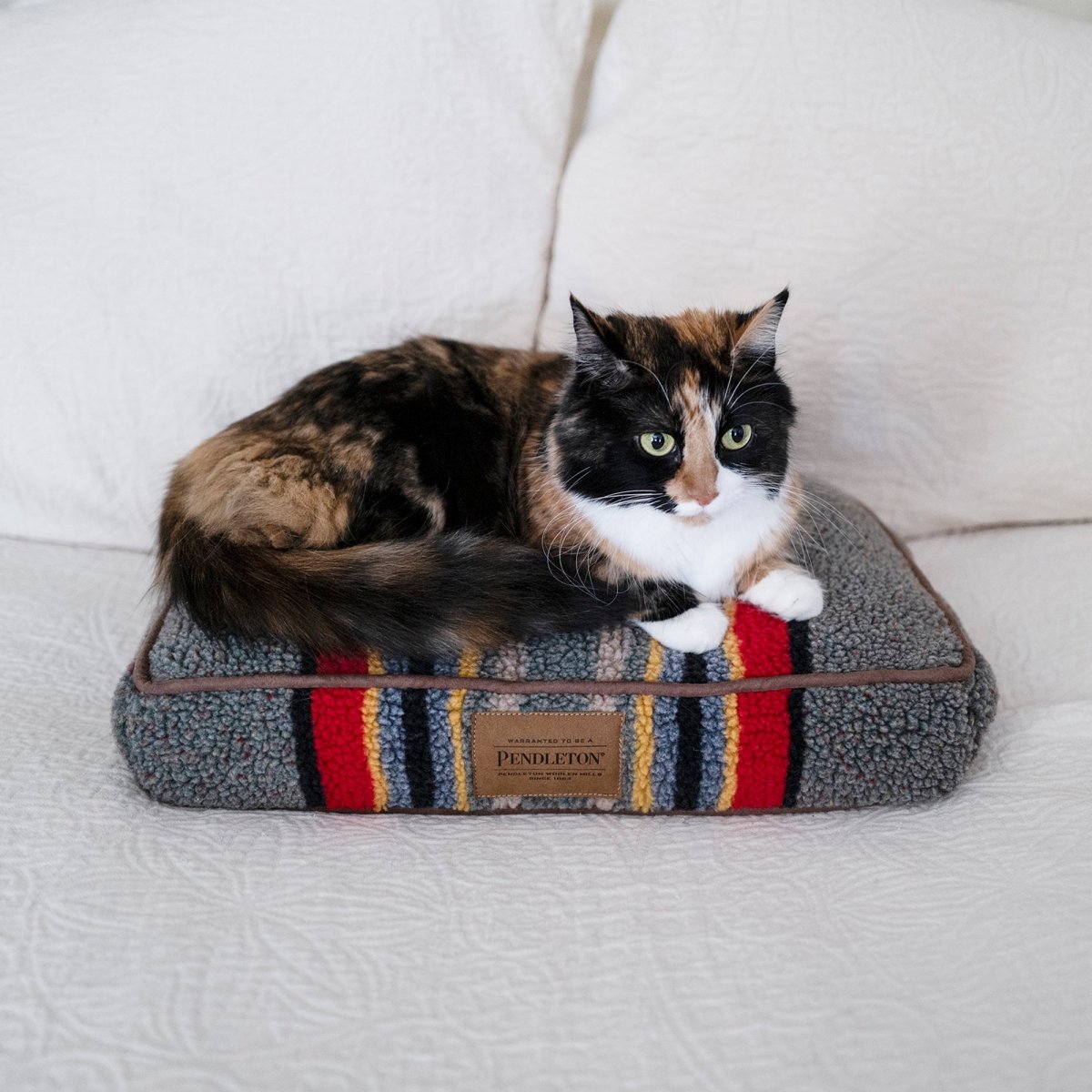 Pendleton Vintage Camp Pet Napper Dog Cushion With Removable Cover
