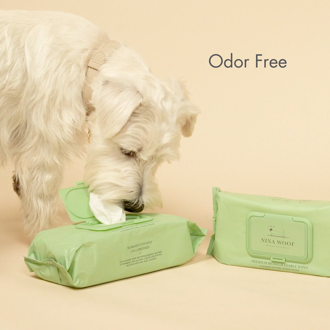 Dog interacting with a green package of Nina Wulf wipes on a beige background