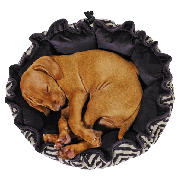 Bowsers Buttercup Best For Cats & Small Dogs
