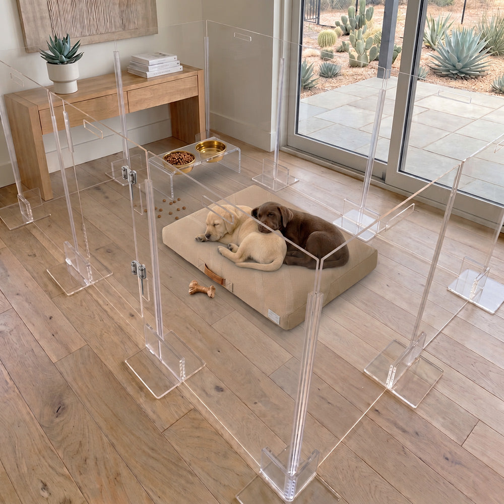 Clear acrylic pet playpens and elevated feeding stations arranged on a hardwood floor in a bright modern room, with two puppies resting on a beige dog bed