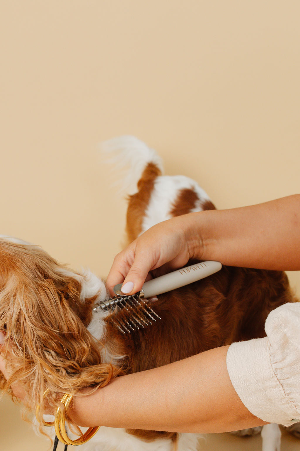 Dog Parent Essentials