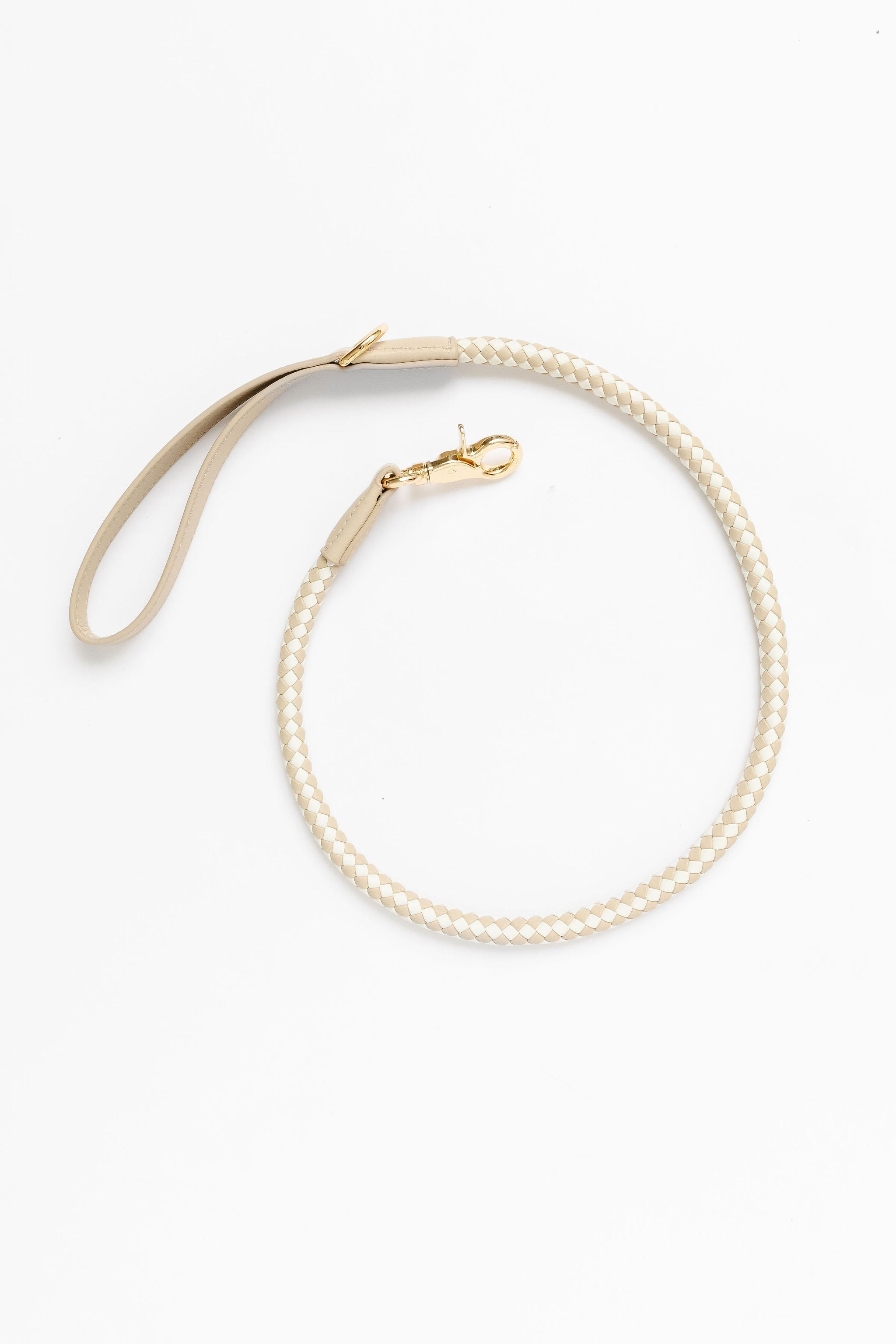 Chic dog leash for small dogs