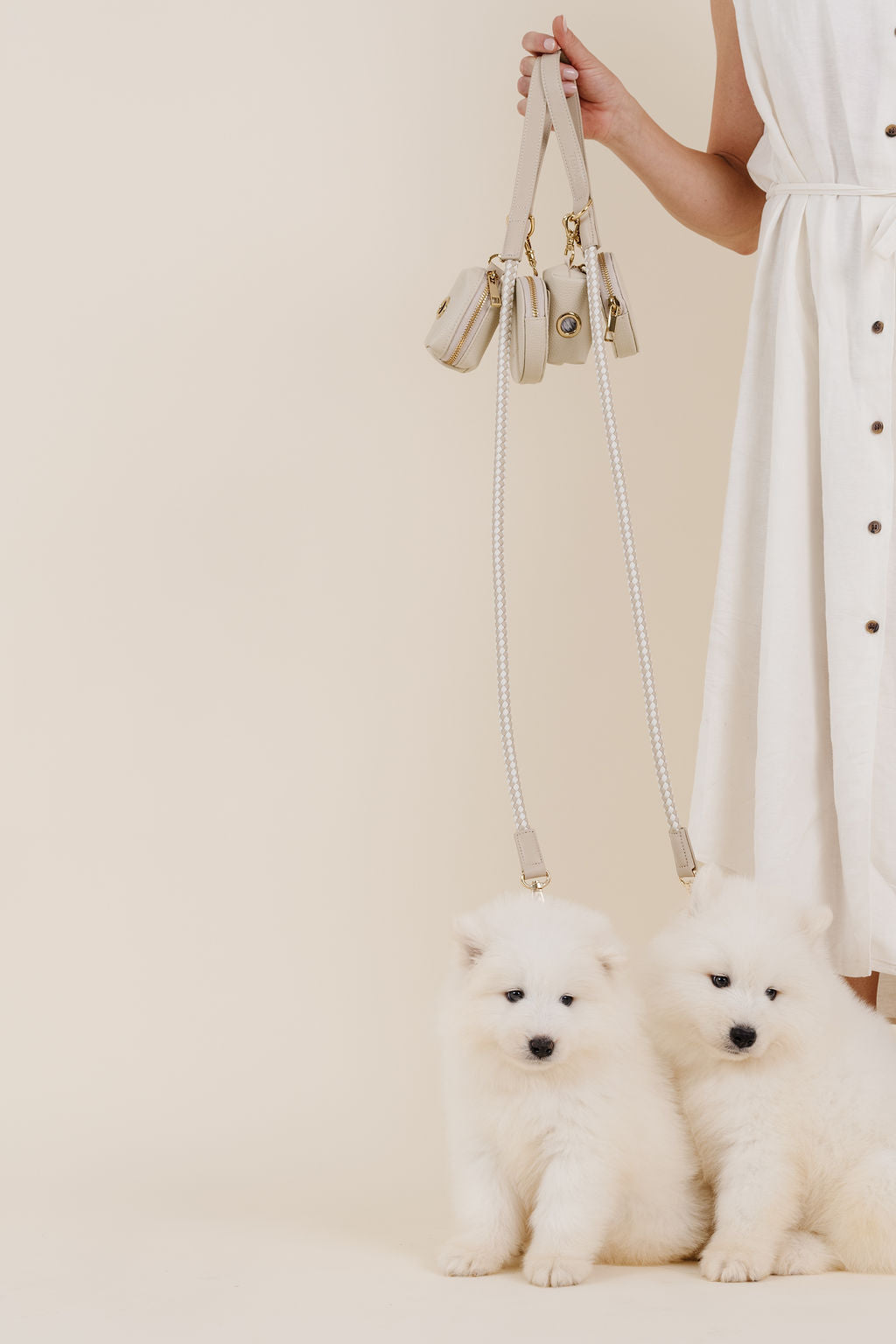 City Walk Kit: Chic Dog Leash, Treat Pouch & Waste Bag