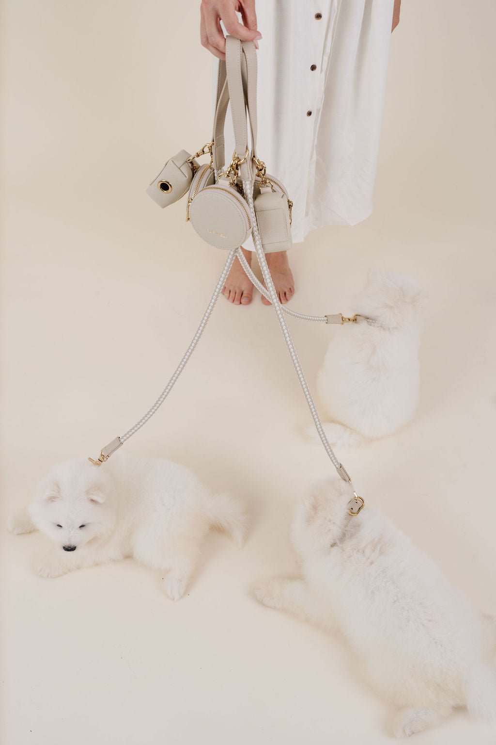 City Walk Kit: Chic Dog Leash, Treat Pouch & Waste Bag