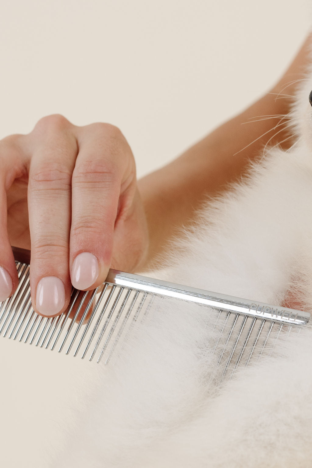 Dog Parent Essentials