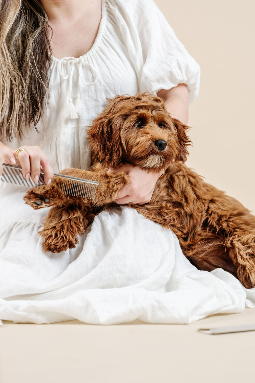 Dog Parent Essentials