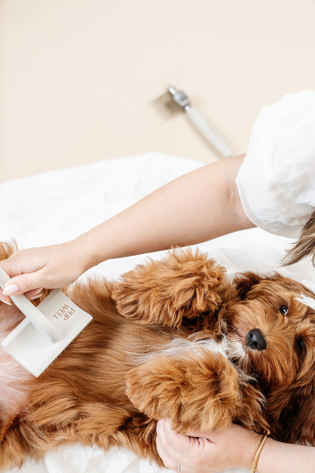 Dog Parent Essentials