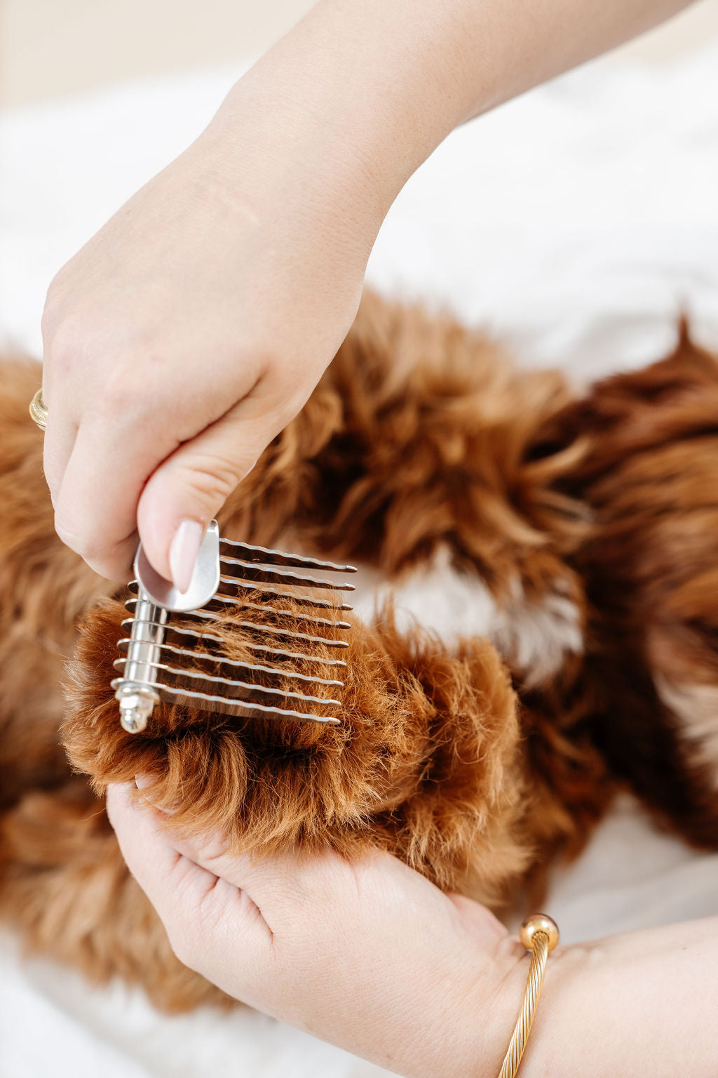 Dog Parent Essentials