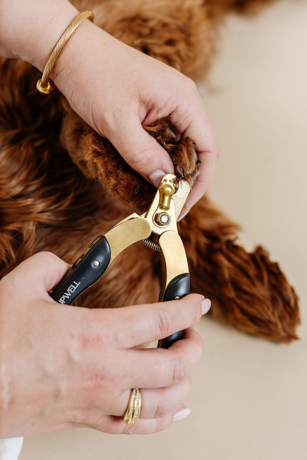 Iconic Nail Duo Set for Dogs: Clippers & Dremel