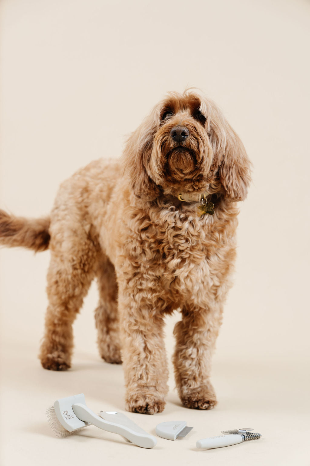 Dog Parent Essentials