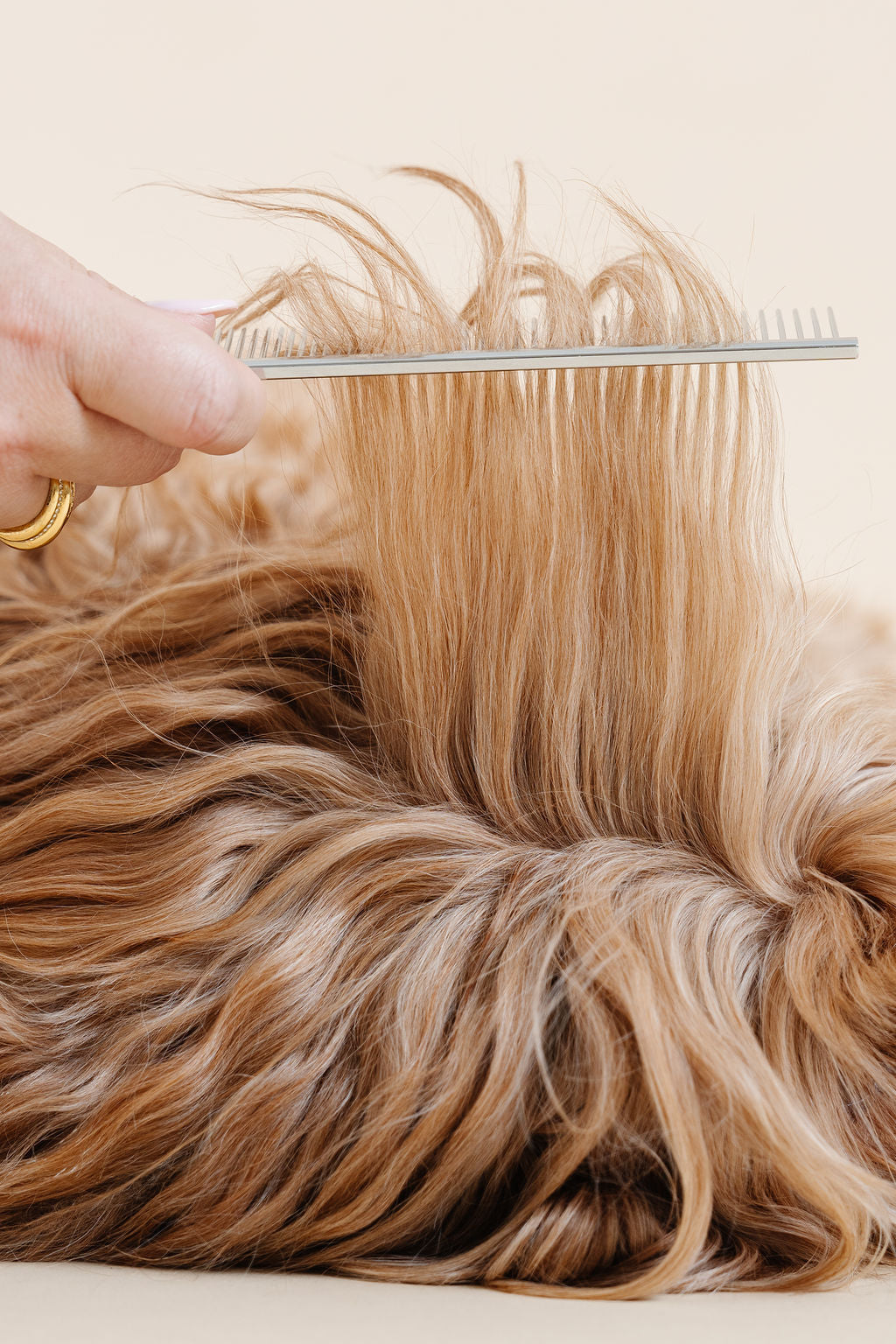 Dog Parent Essentials