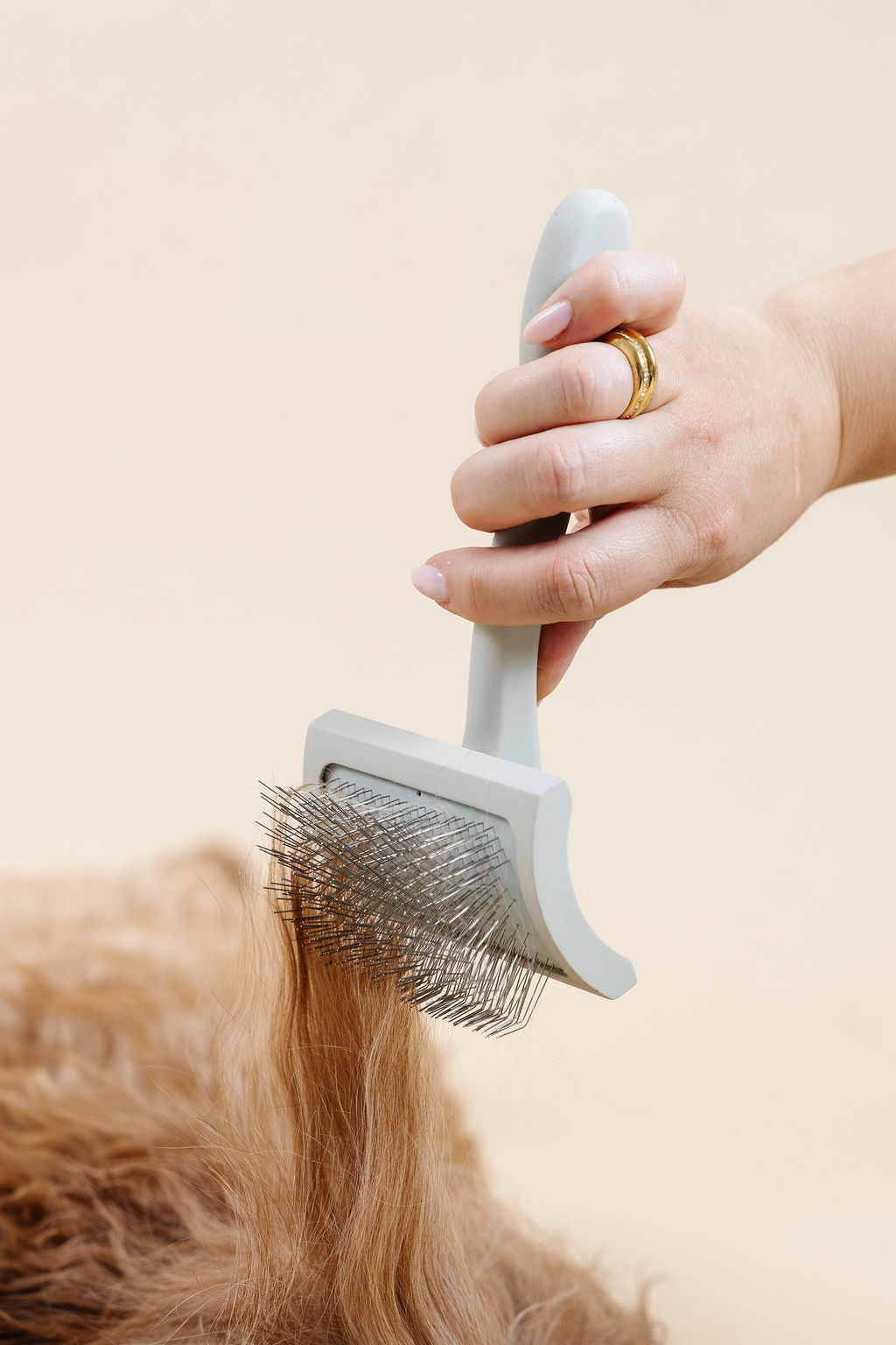 Dog Parent Essentials