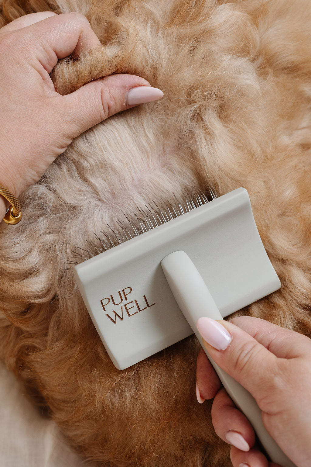 Dog Parent Essentials