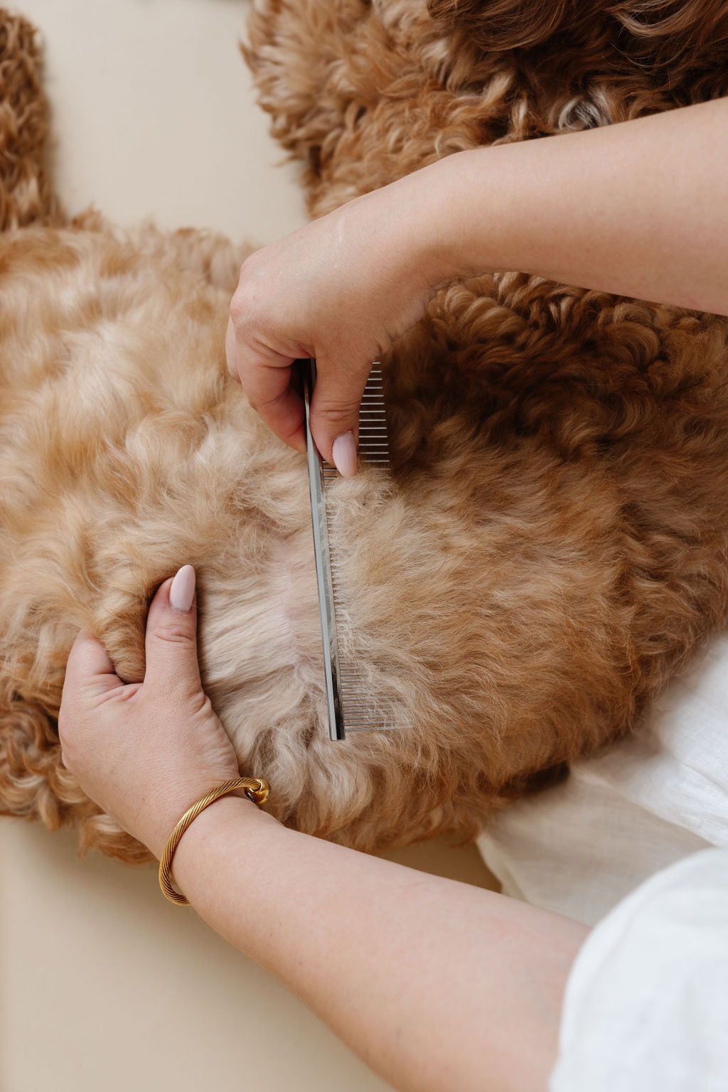 Dog Parent Essentials
