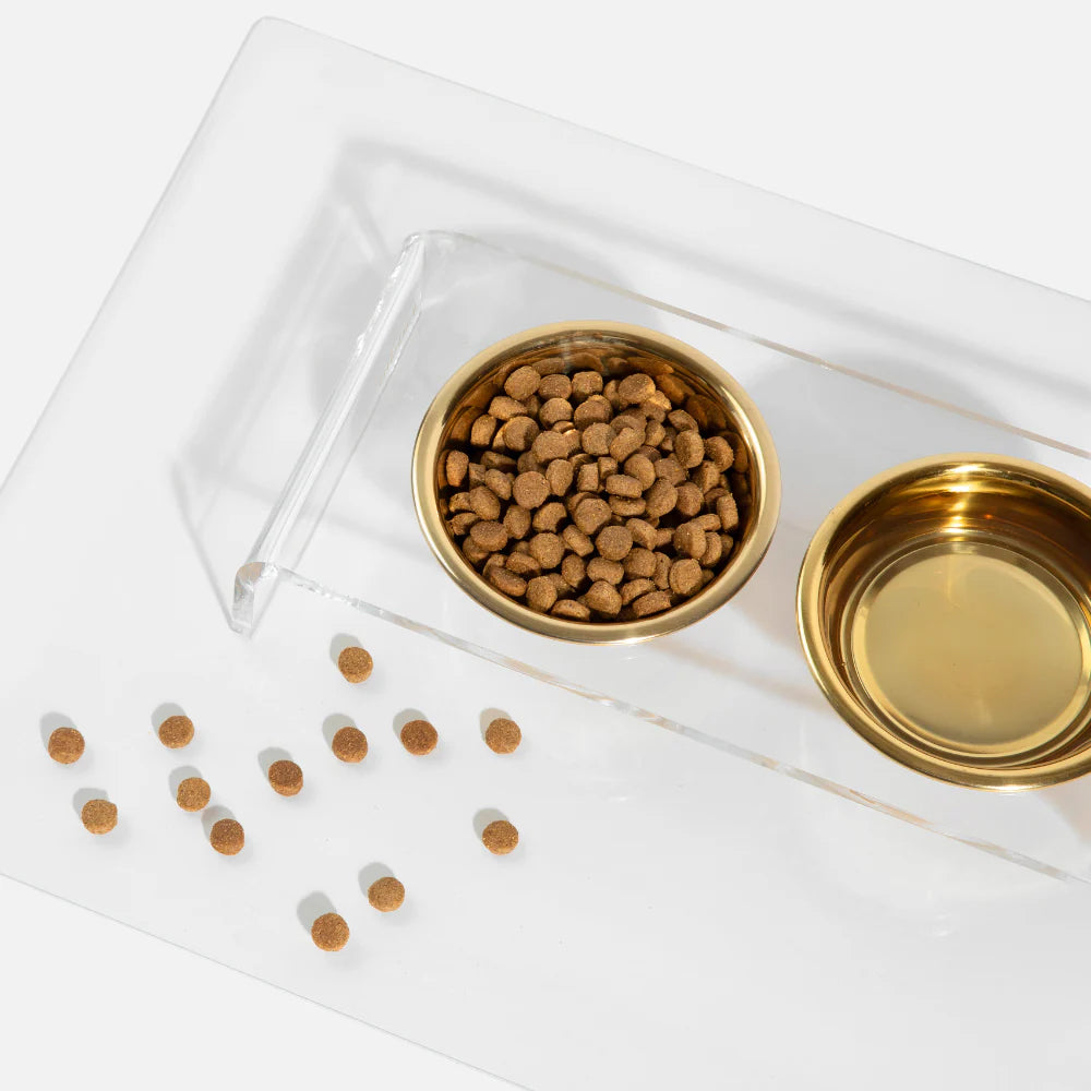 Raised acrylic pet feeder with stand and tray
