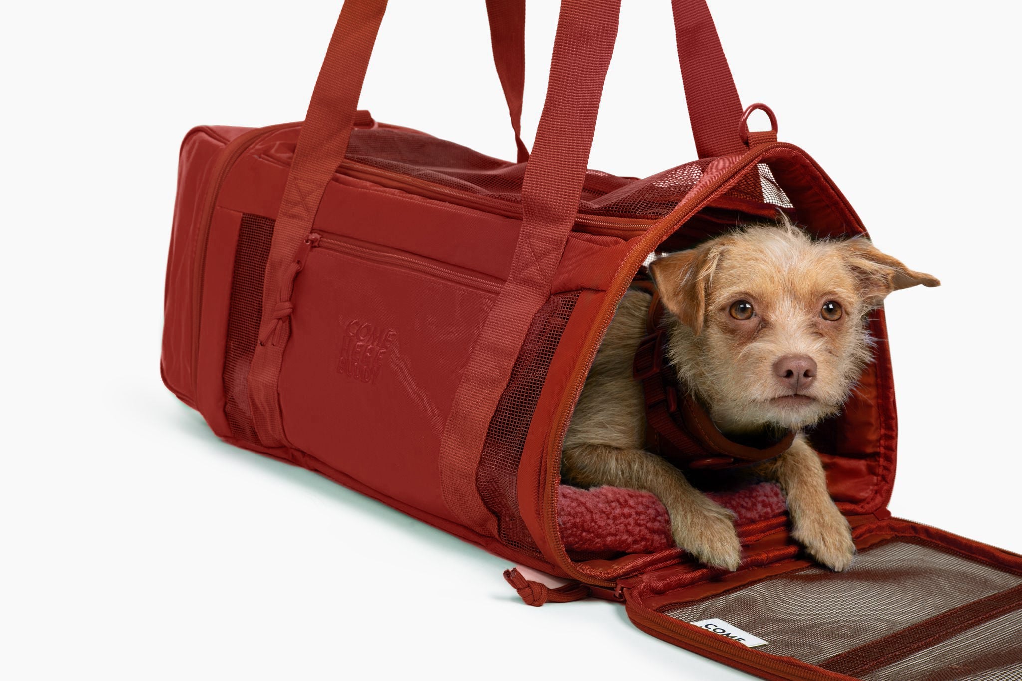 Travel Buddy Stylish Pet Carrier For Cats & Dogs