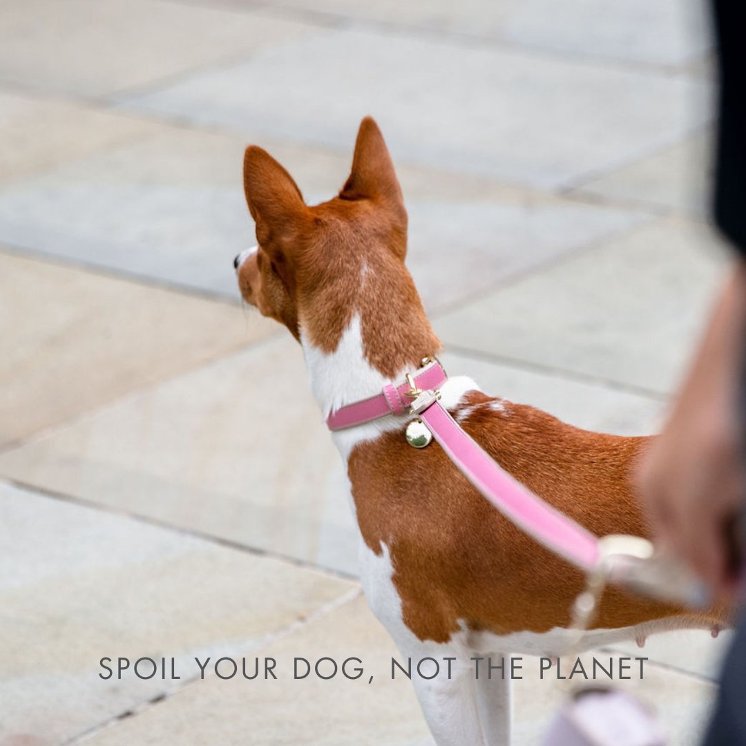Dog Leash 4ft - Vegan Leather - Pink Rio