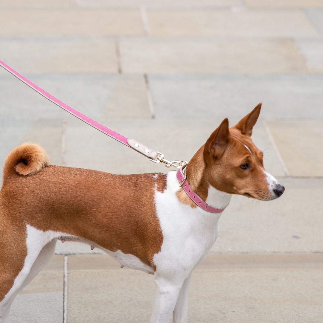 Dog Leash 4ft - Vegan Leather - Pink Rio