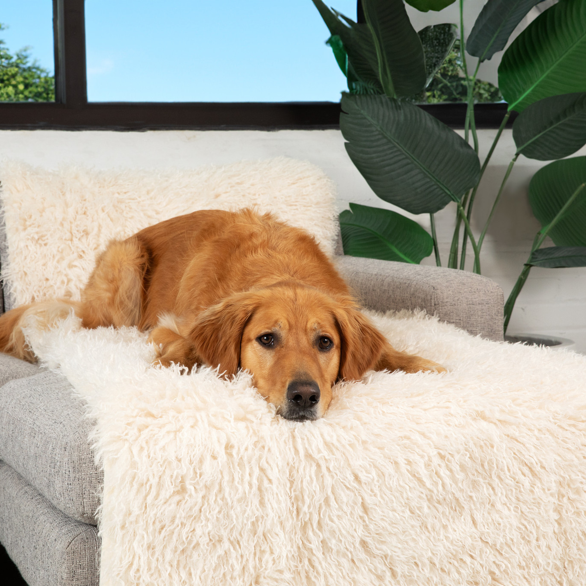 PupProtector™ Luxe Waterproof Bed Runner | Plush Sheep Ivory