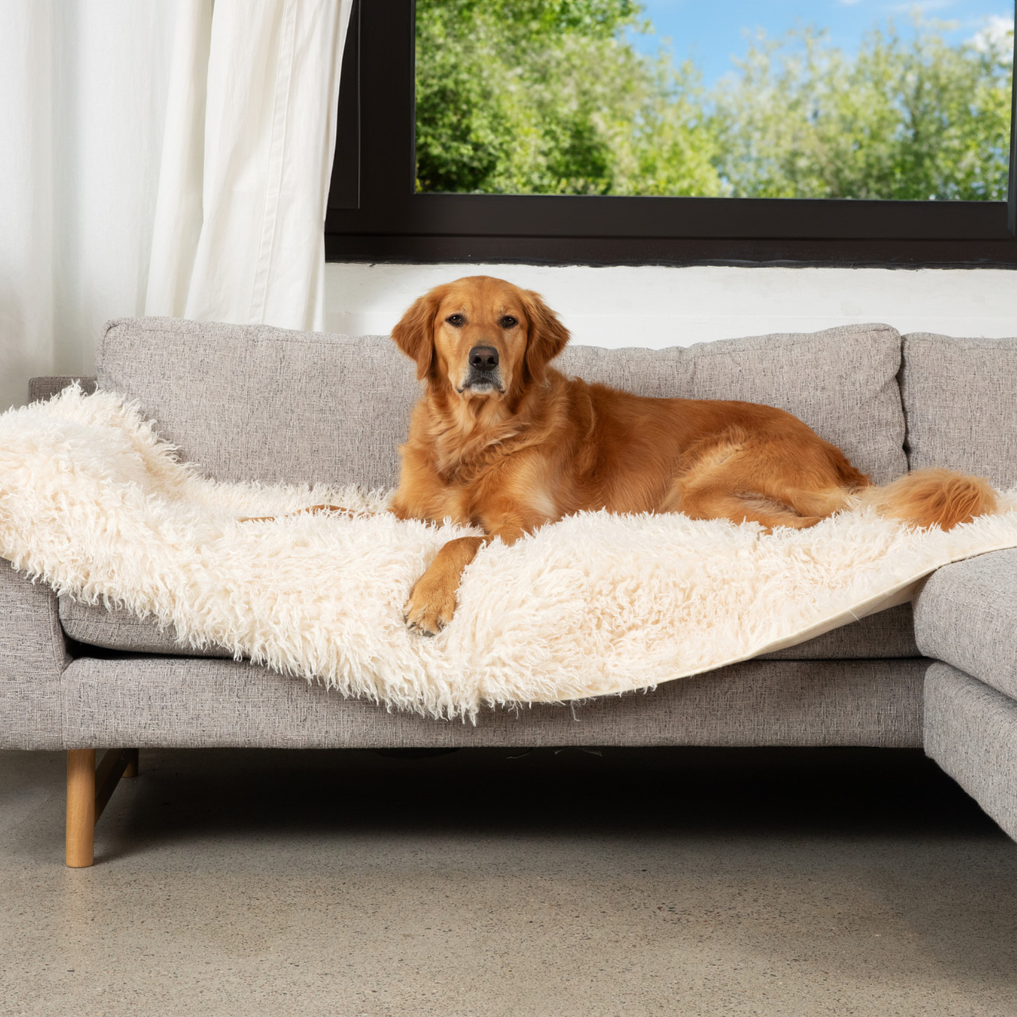 PupProtector™ Luxe Waterproof Bed Runner | Plush Sheep Ivory