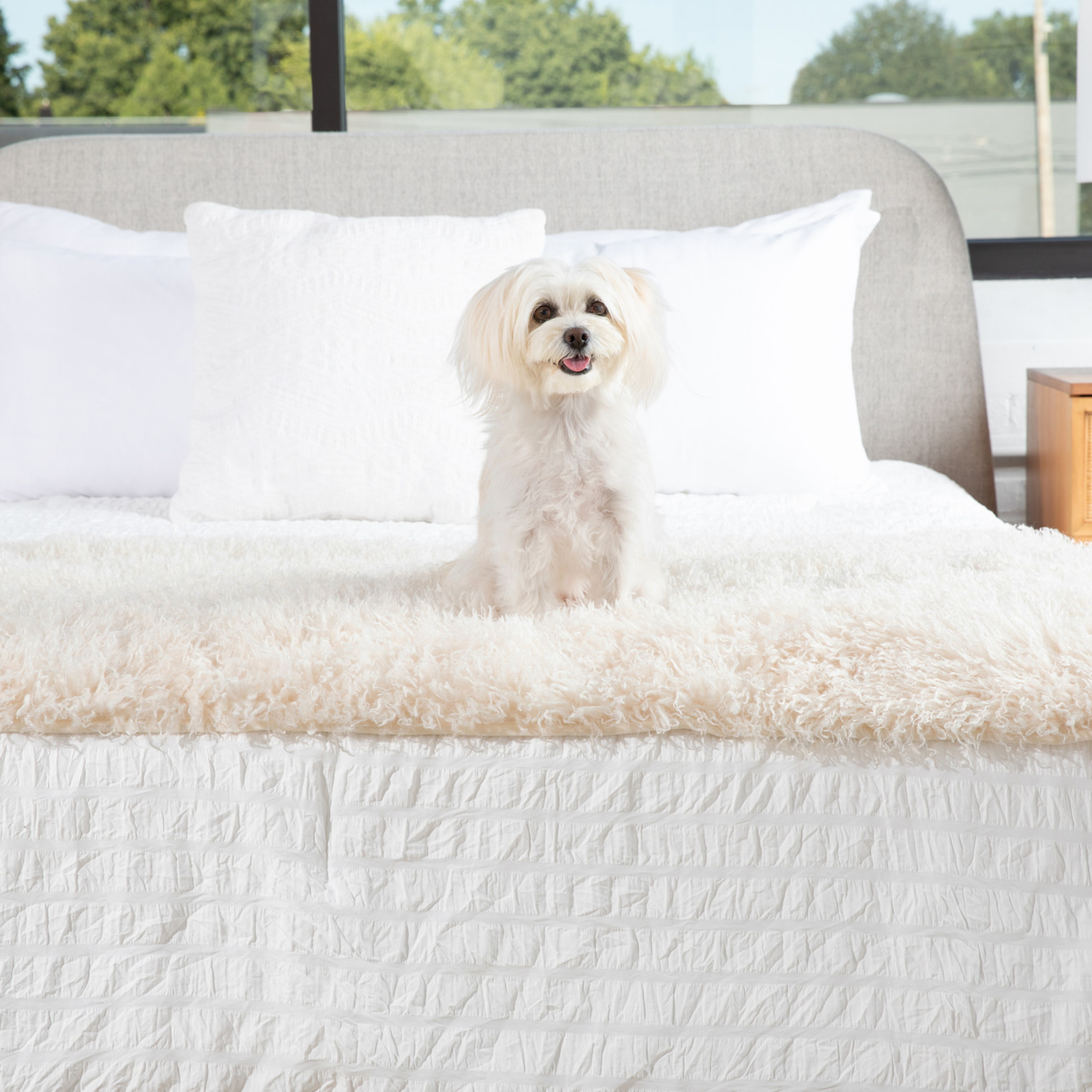 PupProtector™ Luxe Waterproof Bed Runner | Plush Sheep Ivory