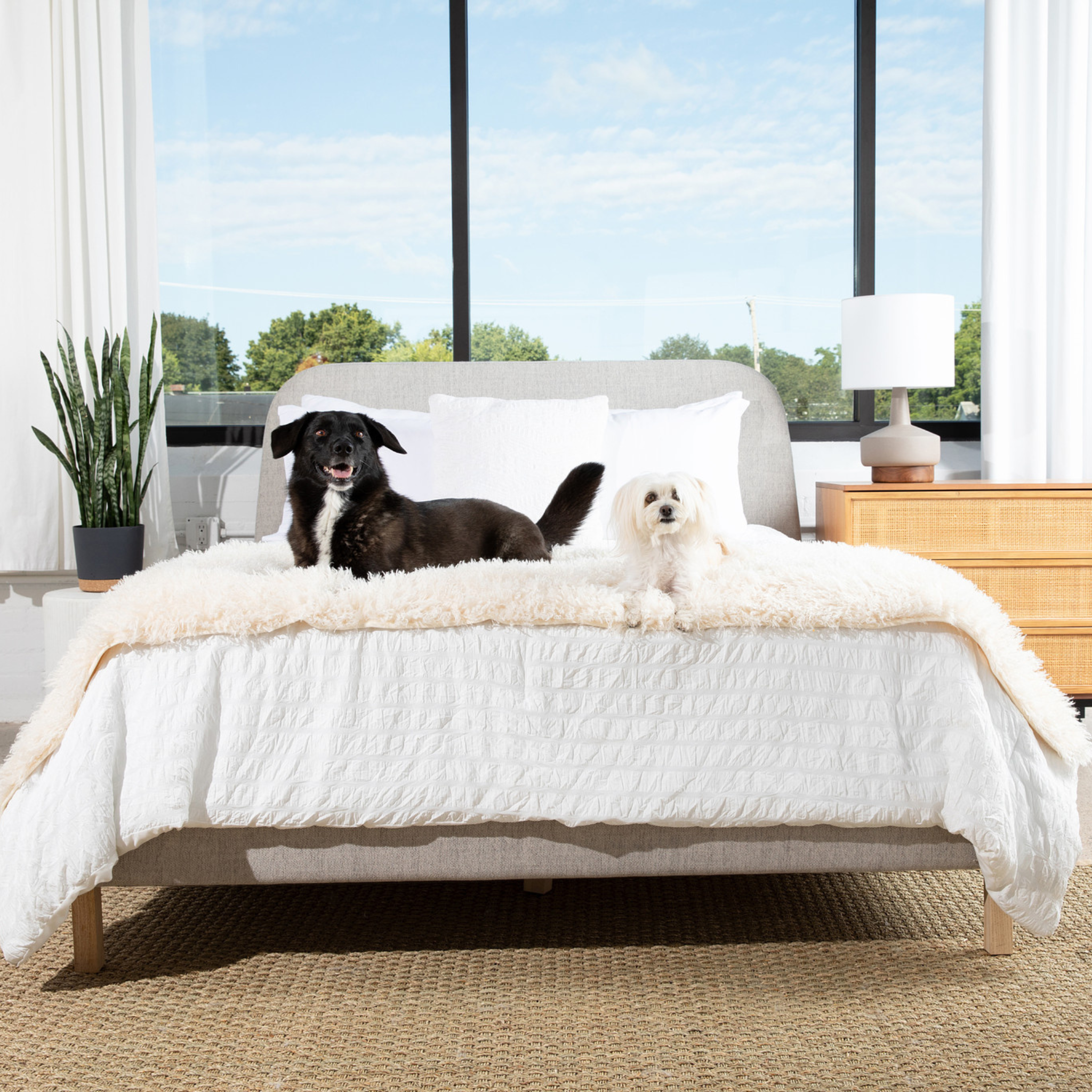 PupProtector™ Luxe Waterproof Bed Runner | Plush Sheep Ivory