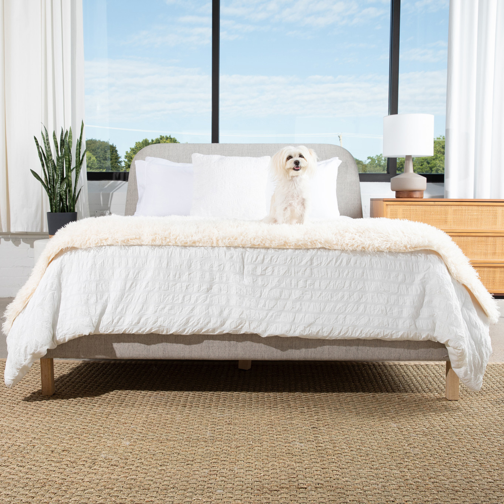 PupProtector™ Luxe Waterproof Bed Runner | Plush Sheep Ivory