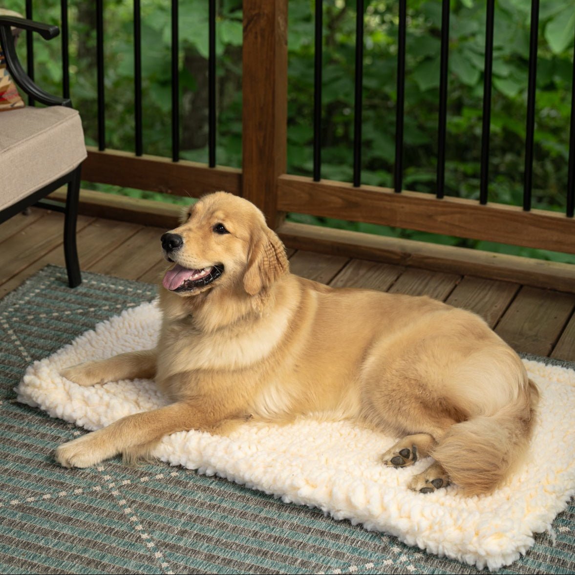 Dog lying on a fluffy sherpa cushion mat on a wooden deck with greenery in the background
