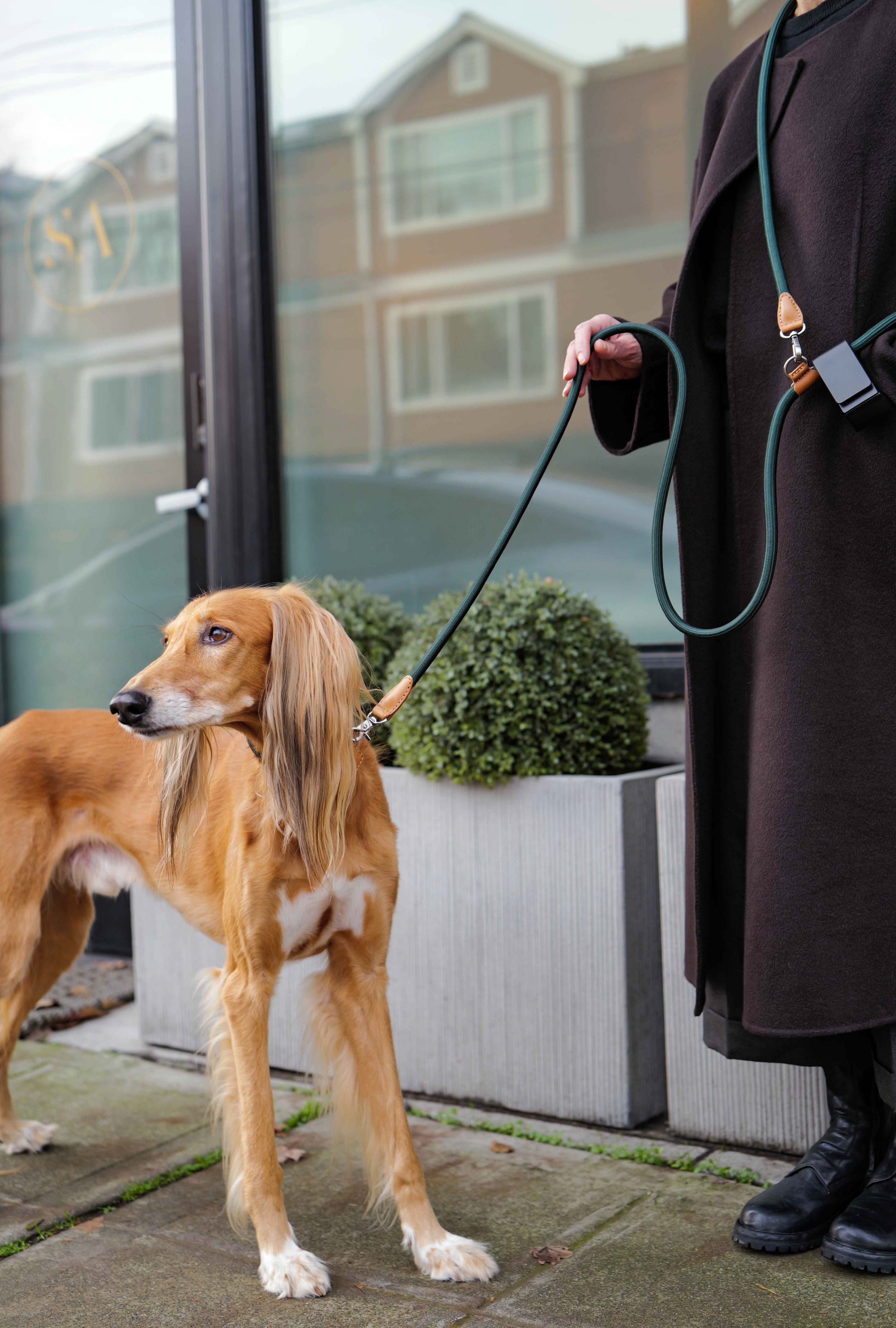 Hands-Free Ray Collar + Leash Set For Dogs | Jade Green