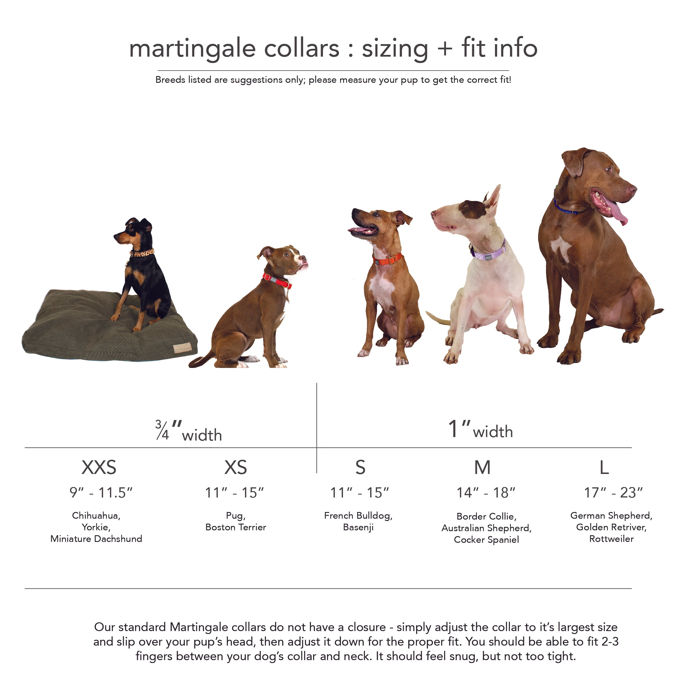martingale training collar for pullers | peach + pink