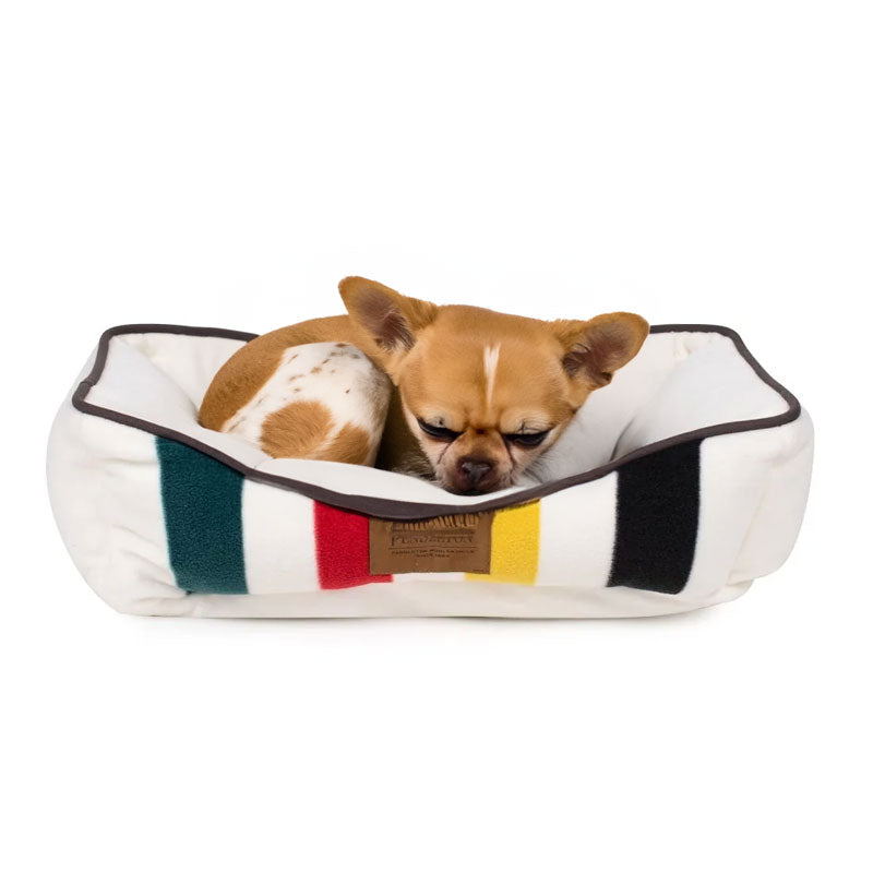 Chihuahua on small pendleton pet cuddler glacier
