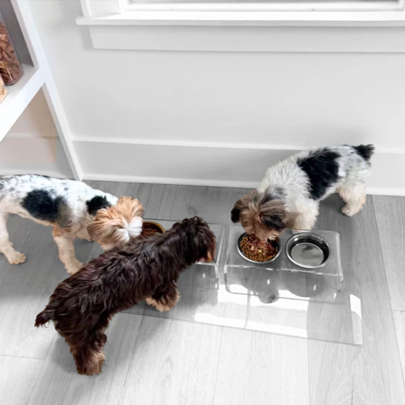 Three small dogs around double-bowl pet feeder on a light wood floor in a bright room.