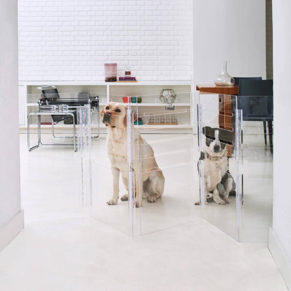 golden retriever and medium dog sitting in front of hiddin stylish dog gate for large dogs in clear plastic