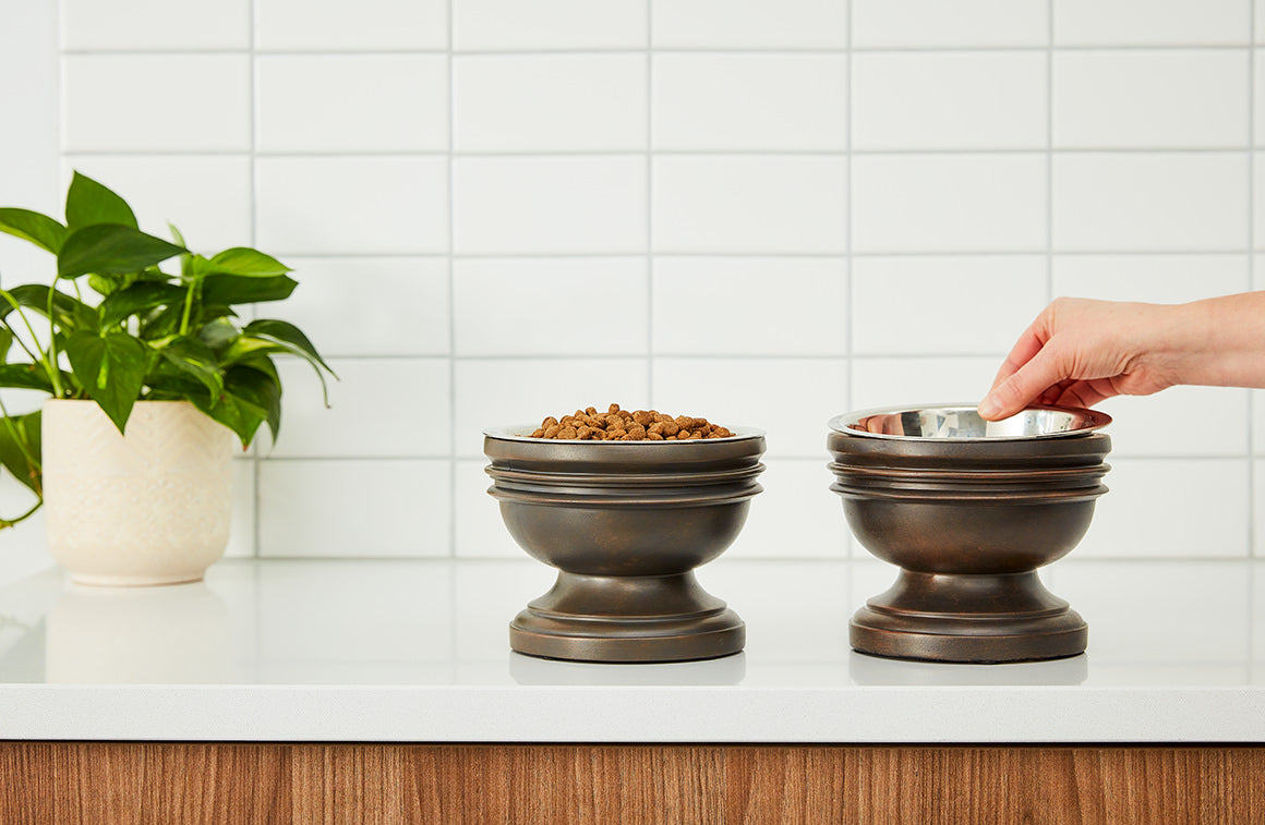 Chalice Style Summit Elevated Pet Bowl for Dogs & Cats