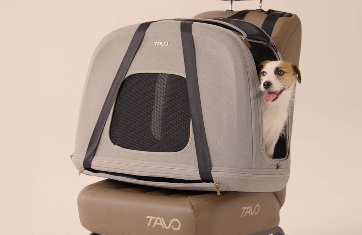 Pet carrier backpack with a dog peeking out, branded 'TAVO'.