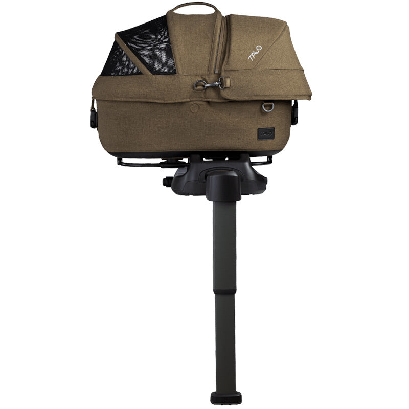 #Choose Your Color_Brindle