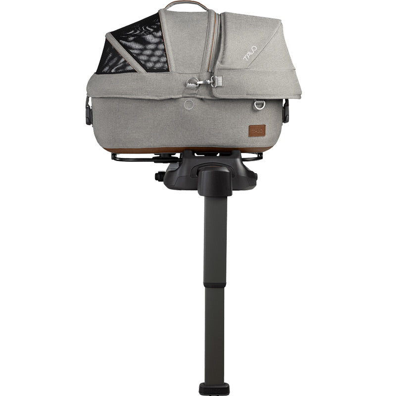 #Choose Your Color_Merle