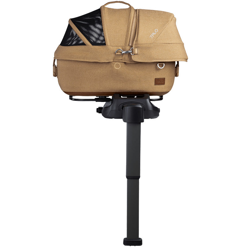 #Choose Your Color_Sable