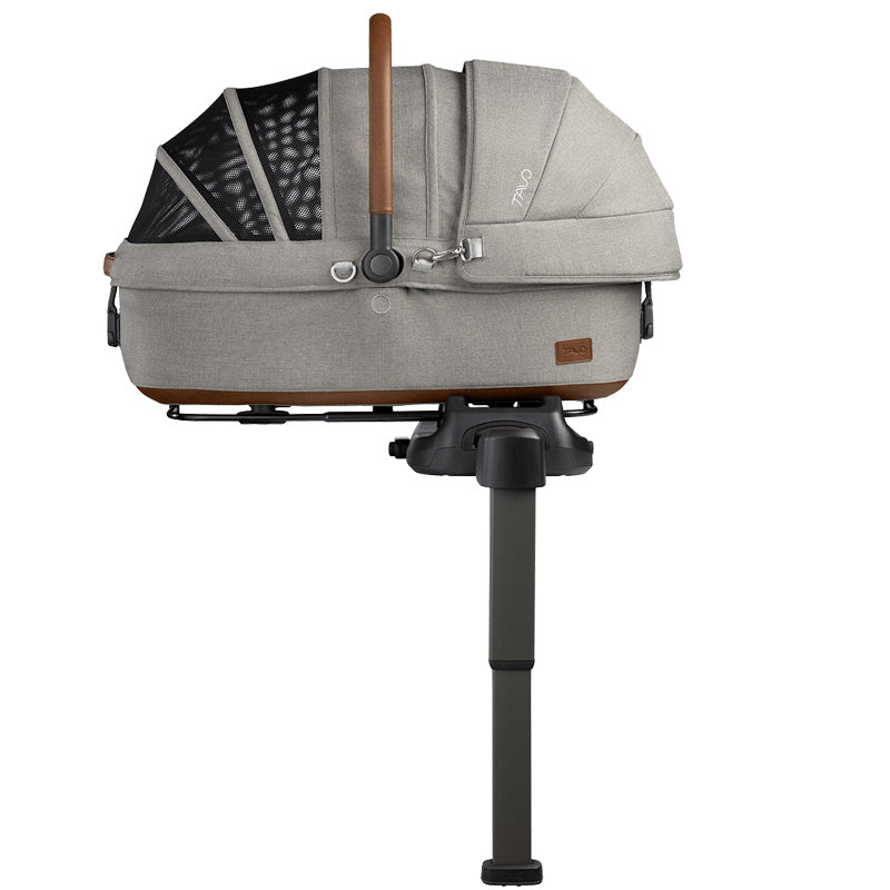 #Choose Your Color_Merle