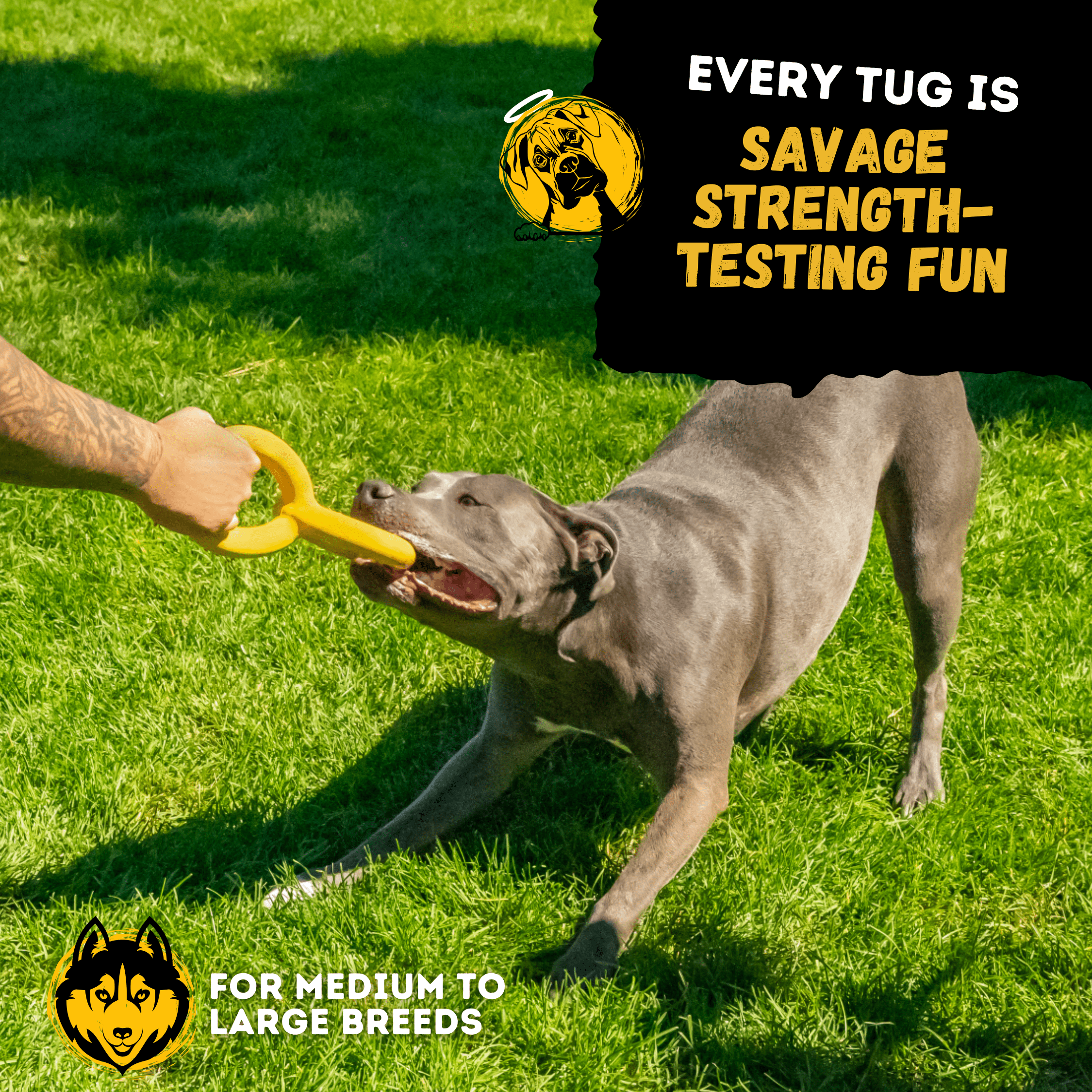 Indestructible Dog Toy for Aggressive Chewers | Tug Rings