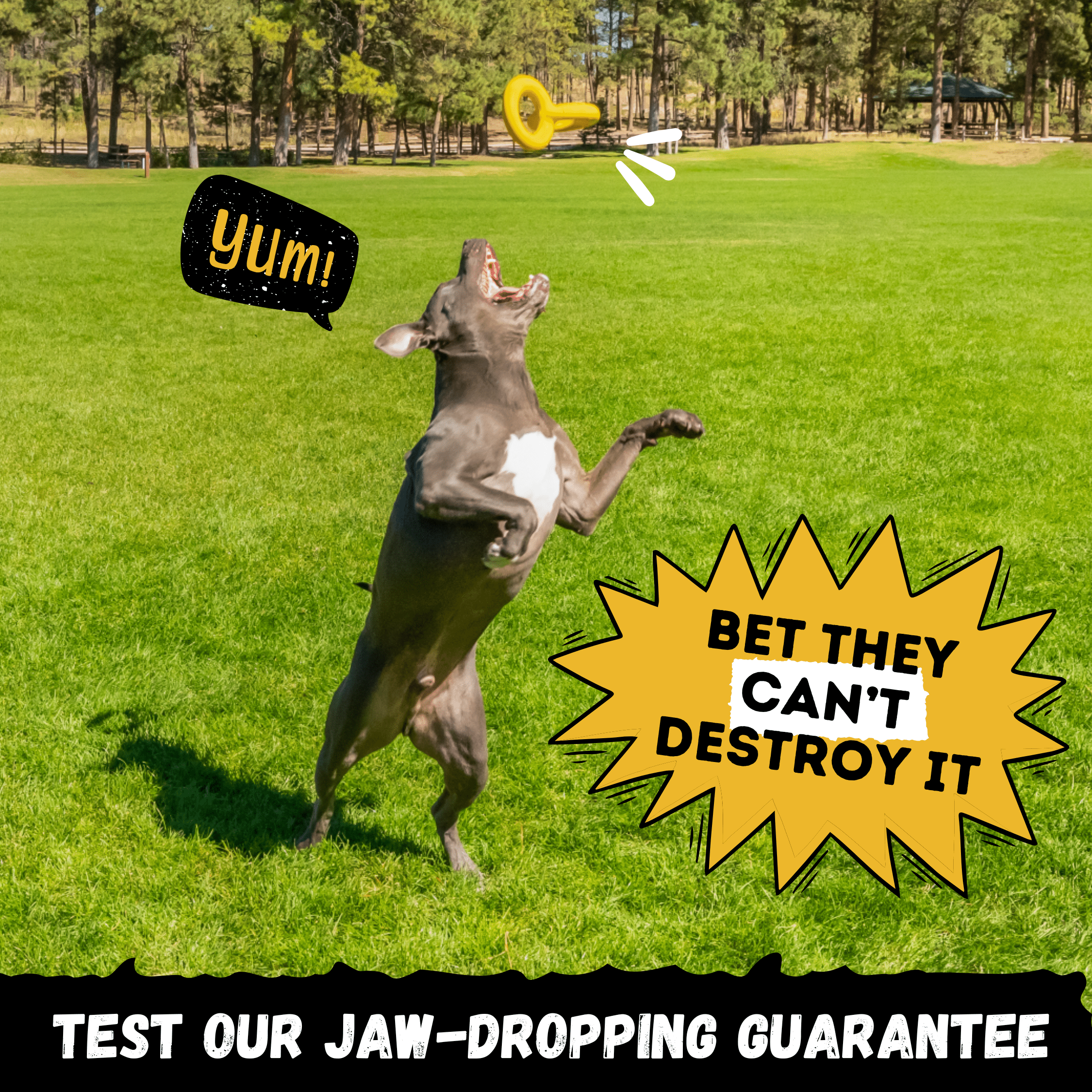 Indestructible Dog Toy for Aggressive Chewers | Tug Rings