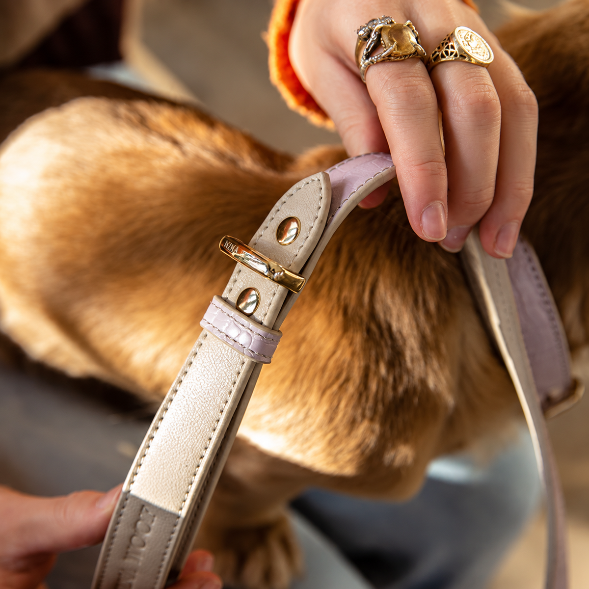 A woman's hand holding a soft vegan dog leash in beige color