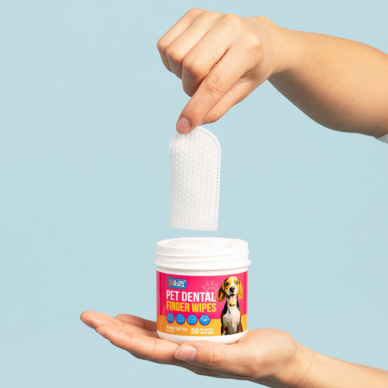 Pet dental finger wipes container with a hand pulling out a wipe against a light blue background