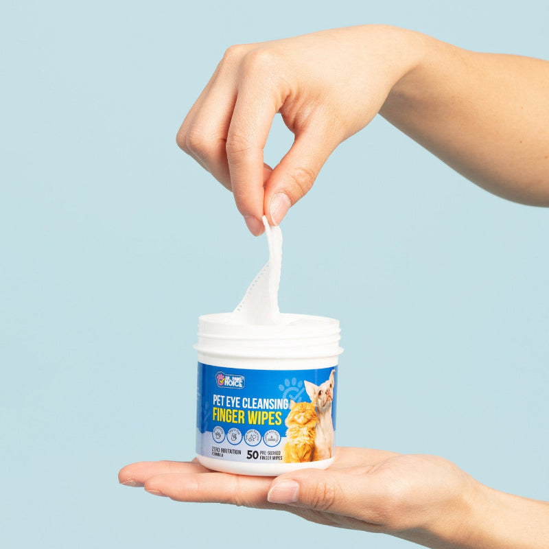 Person using Pet Eye Cleansing Finger Wipes with a blue background