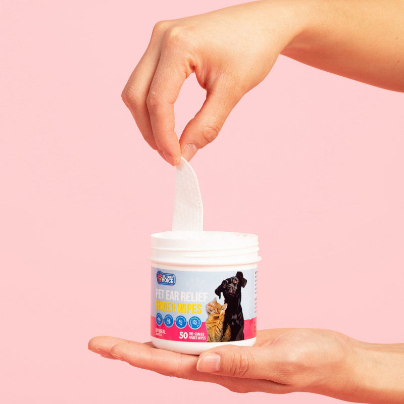 Hand using a container of pet wipes with a pink background