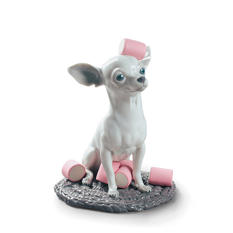 Chihuahua with Marshmallows by Lladro Porcelains