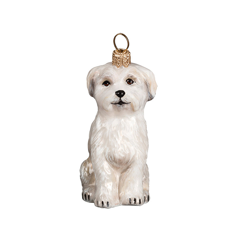 Maltese Glass Christmas Ornament by Joy To The World.